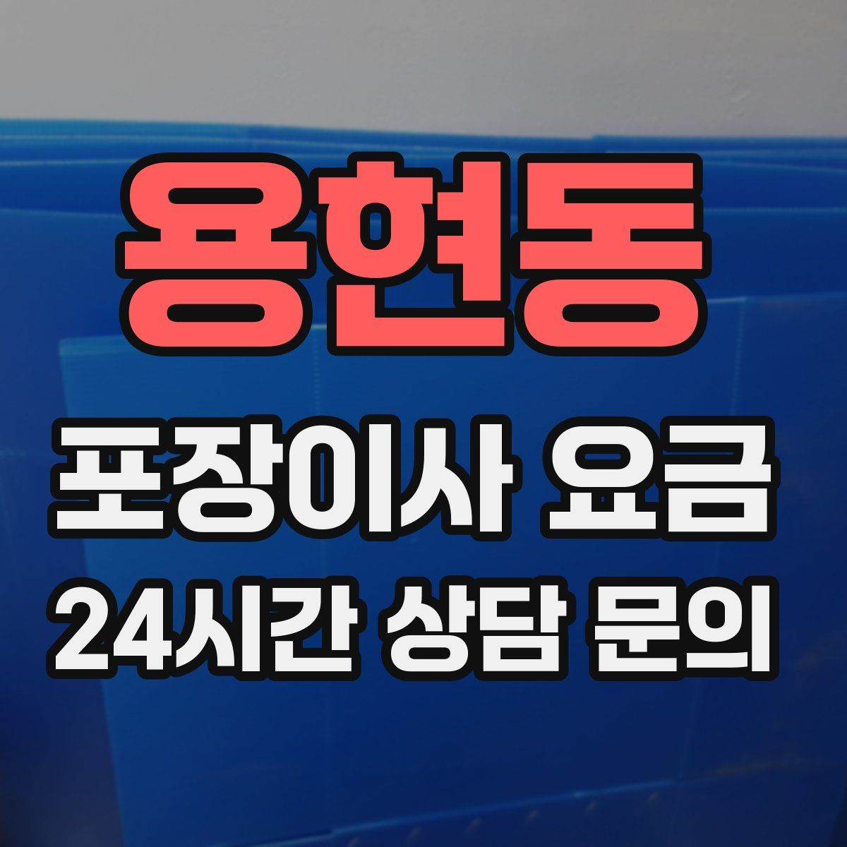 용현동 포장이사 요금