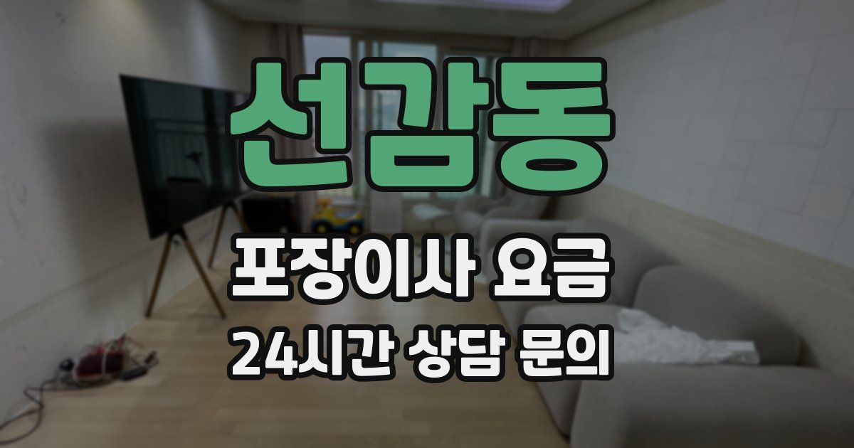 선감동 포장이사 요금