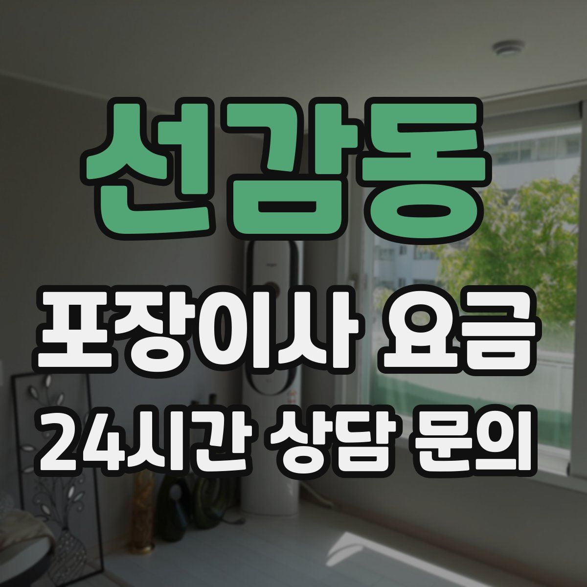 선감동 포장이사 요금