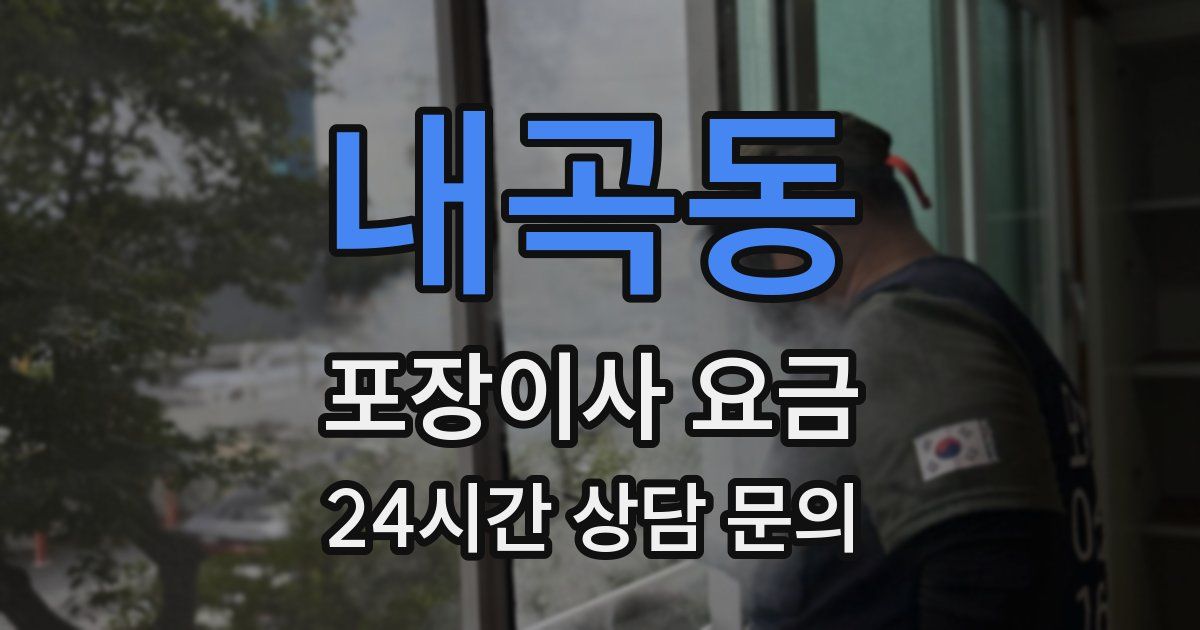 내곡동 포장이사 요금