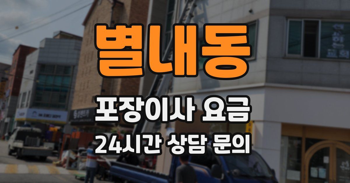 별내동 포장이사 요금
