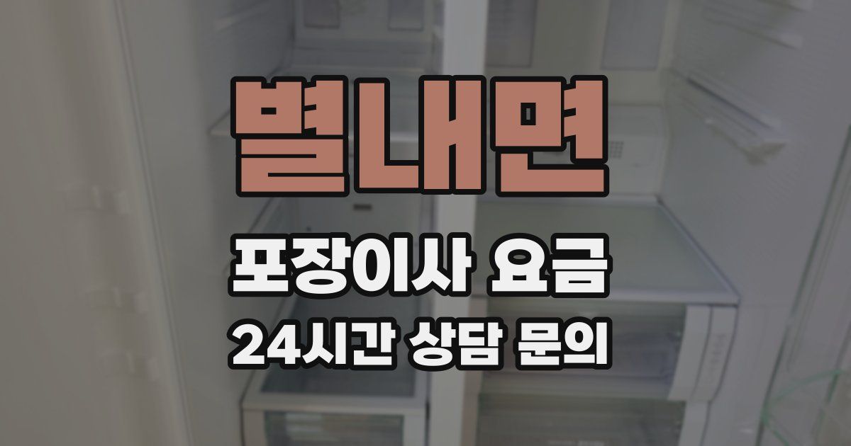 별내면 포장이사 요금