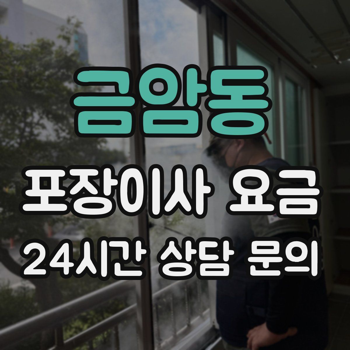 금암동 포장이사 요금