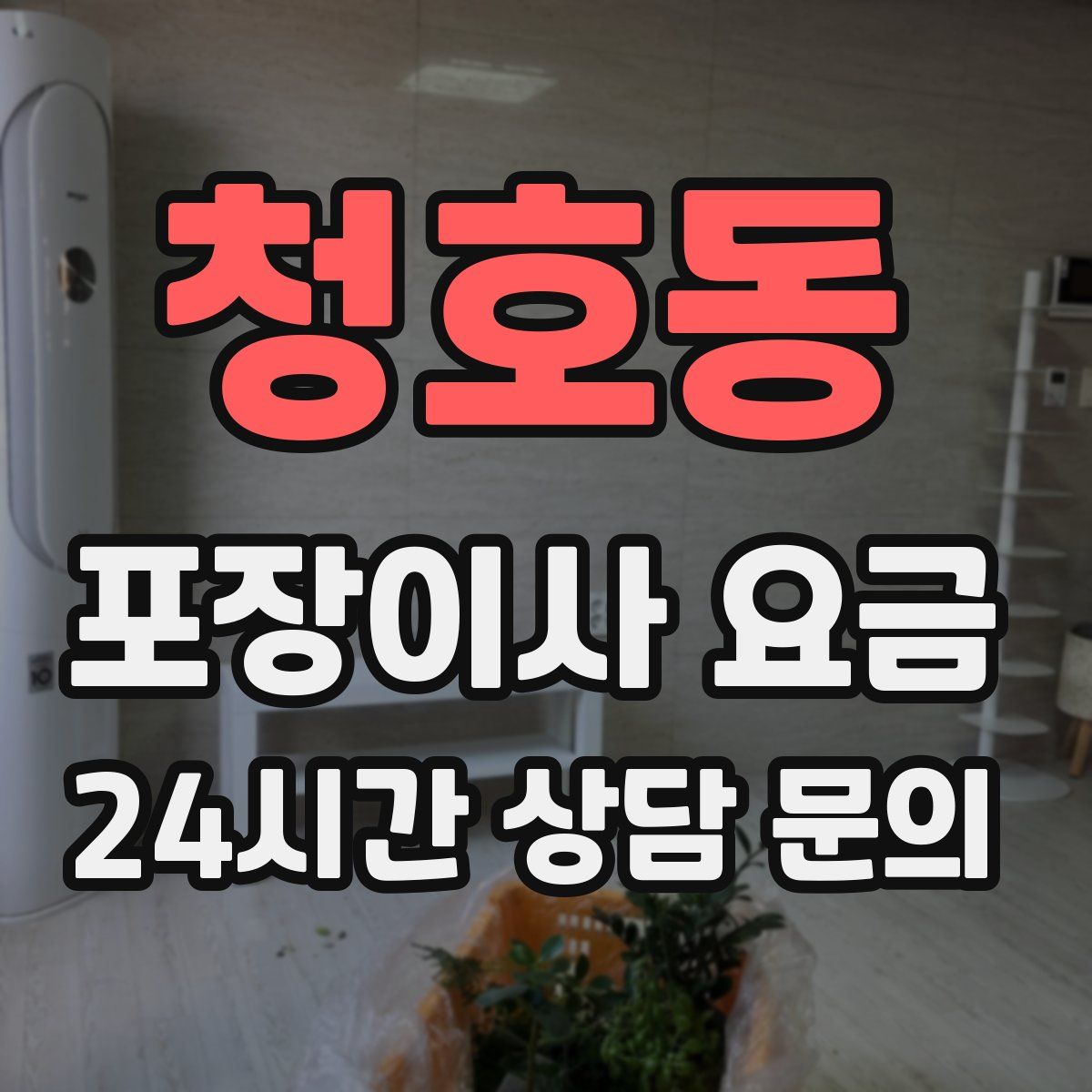 청호동 포장이사 요금