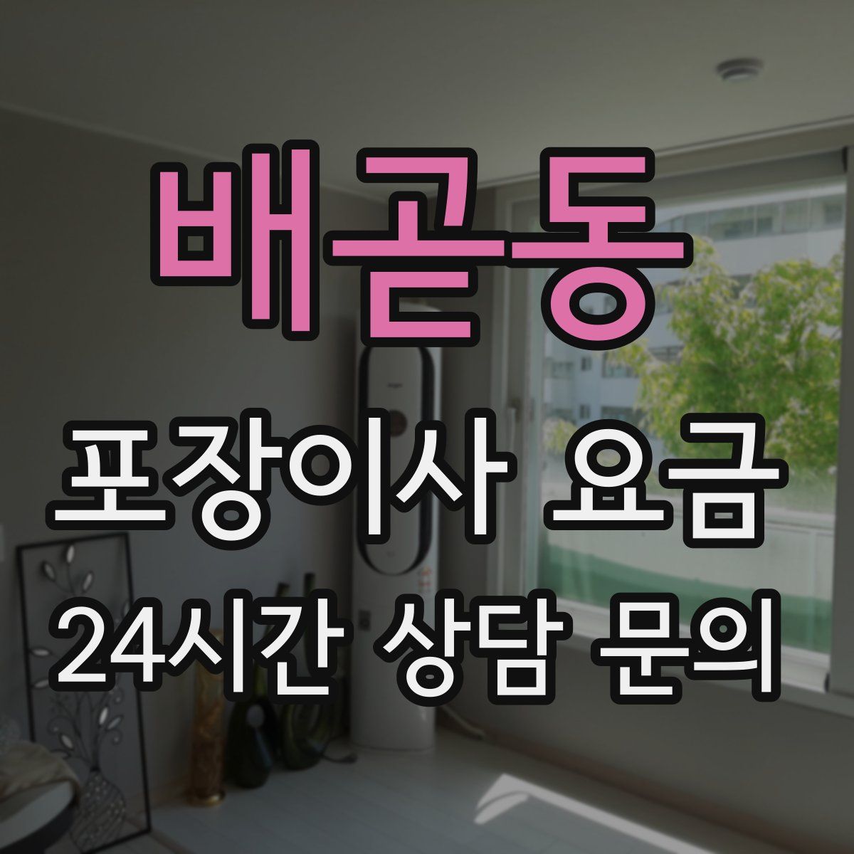 배곧동 포장이사 요금