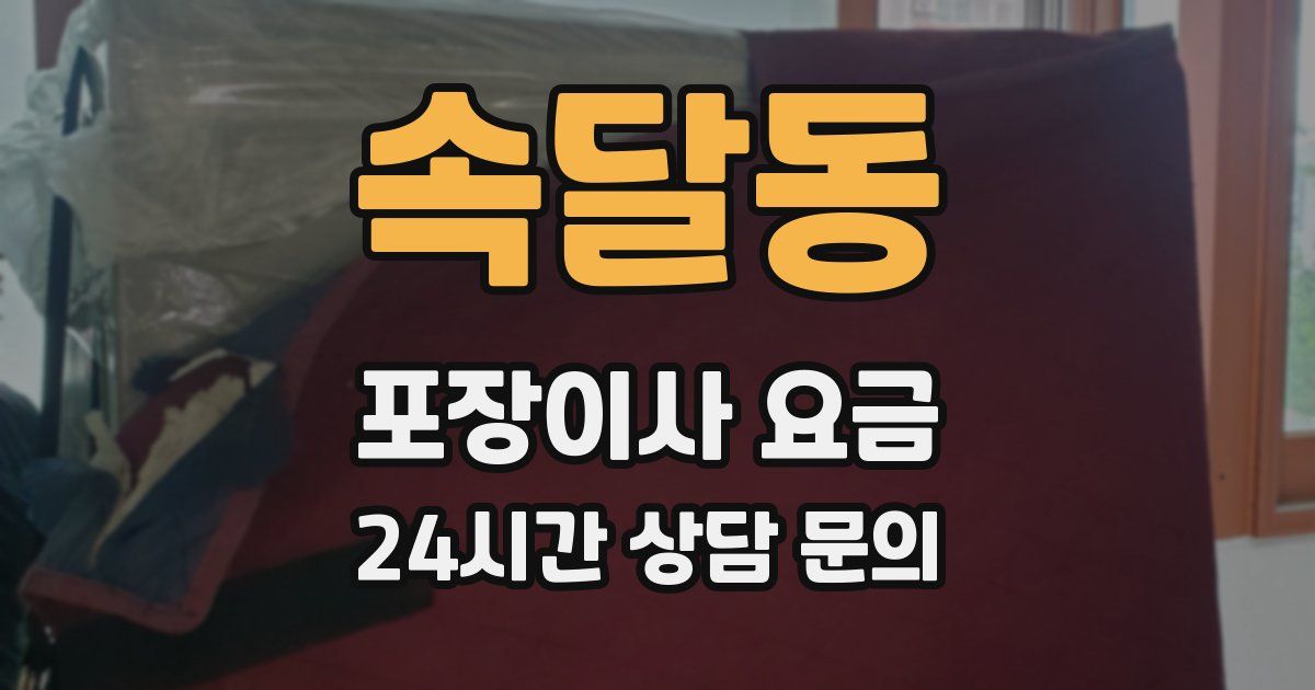 속달동 포장이사 요금