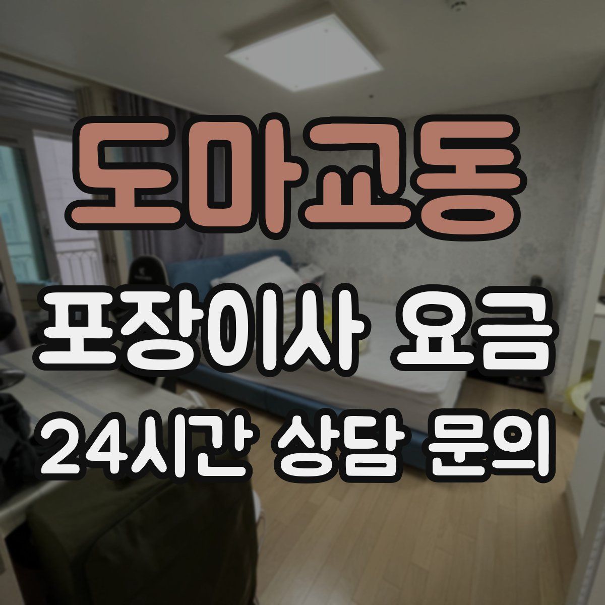 도마교동 포장이사 요금