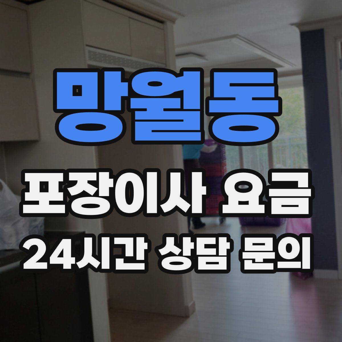 망월동 포장이사 요금