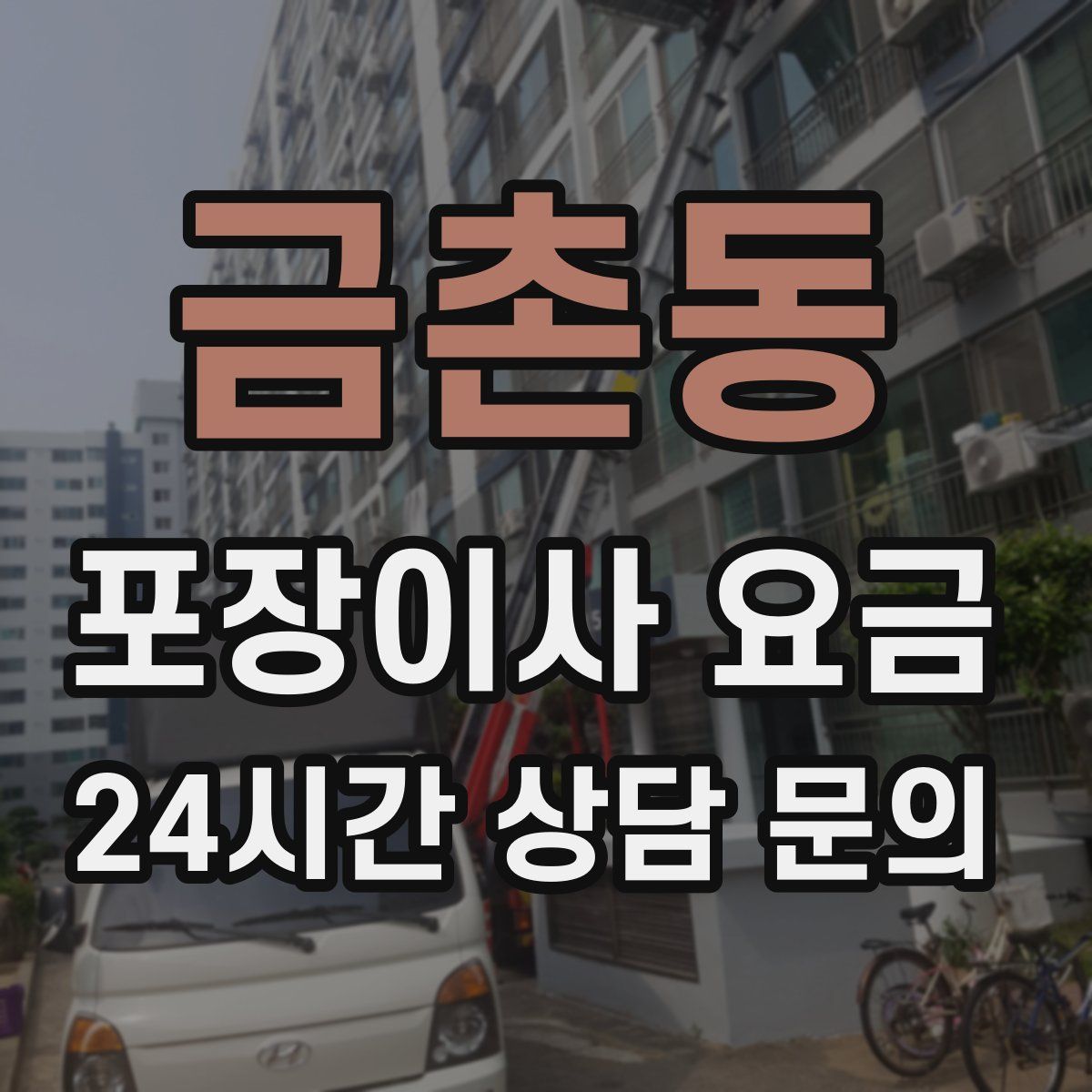 금촌동 포장이사 요금