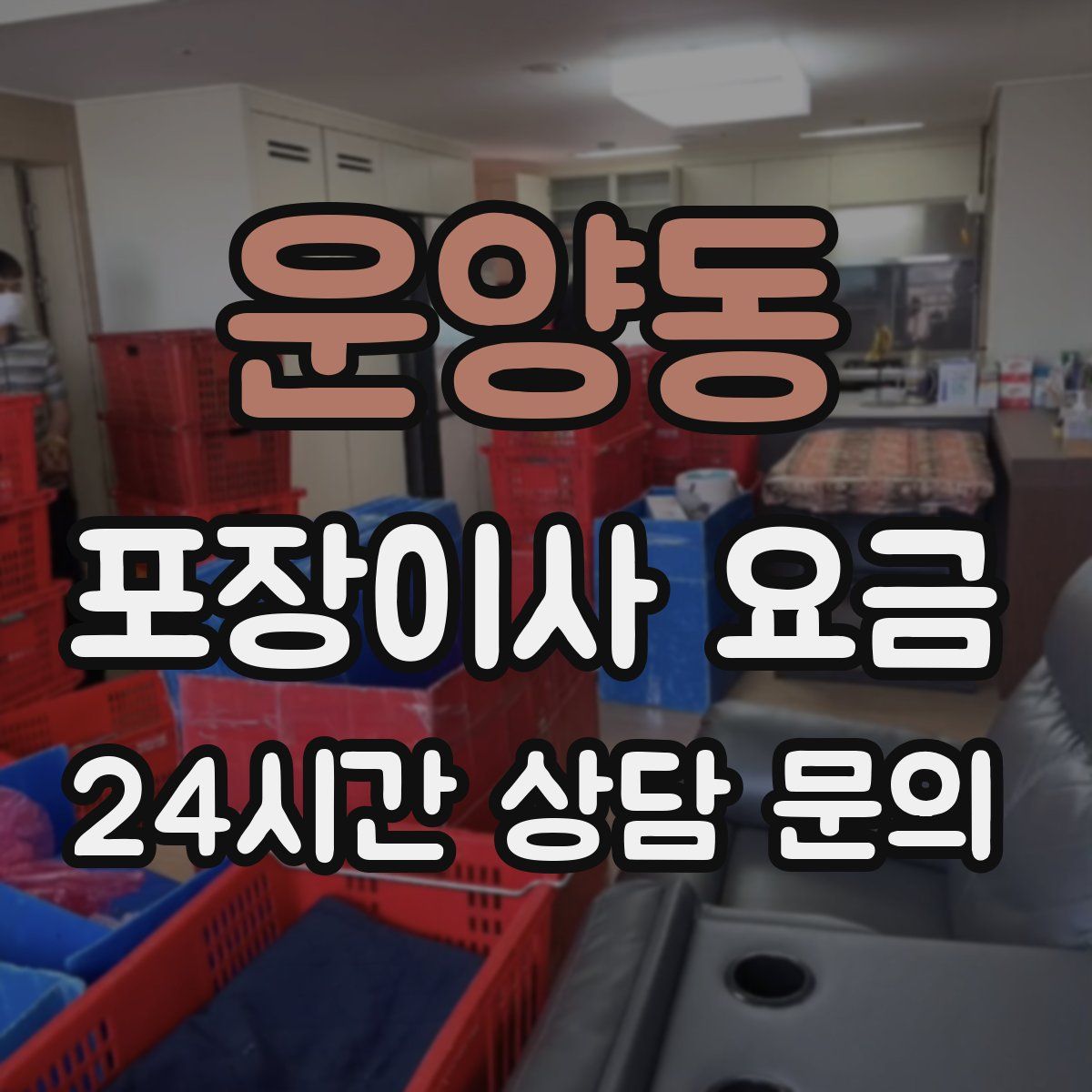 운양동 포장이사 요금