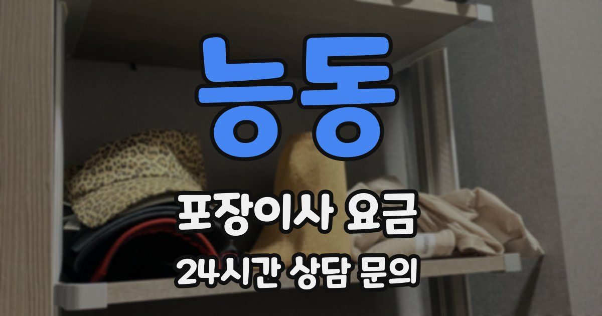 능동 포장이사 요금