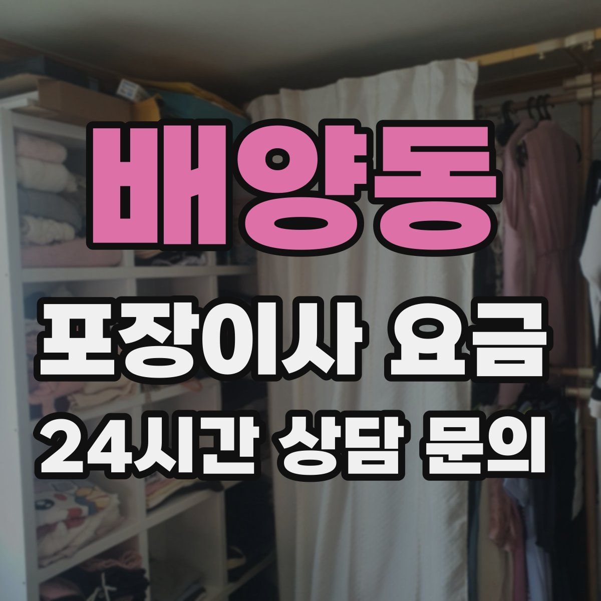 배양동 포장이사 요금