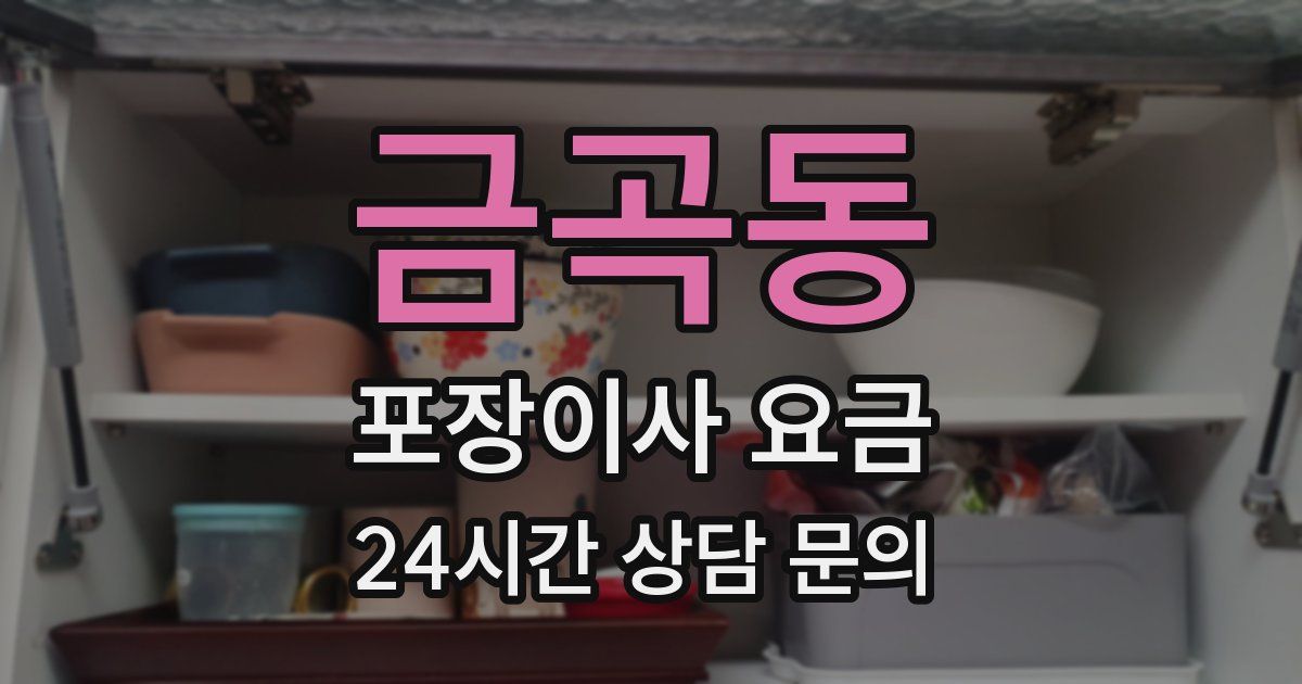 금곡동 포장이사 요금