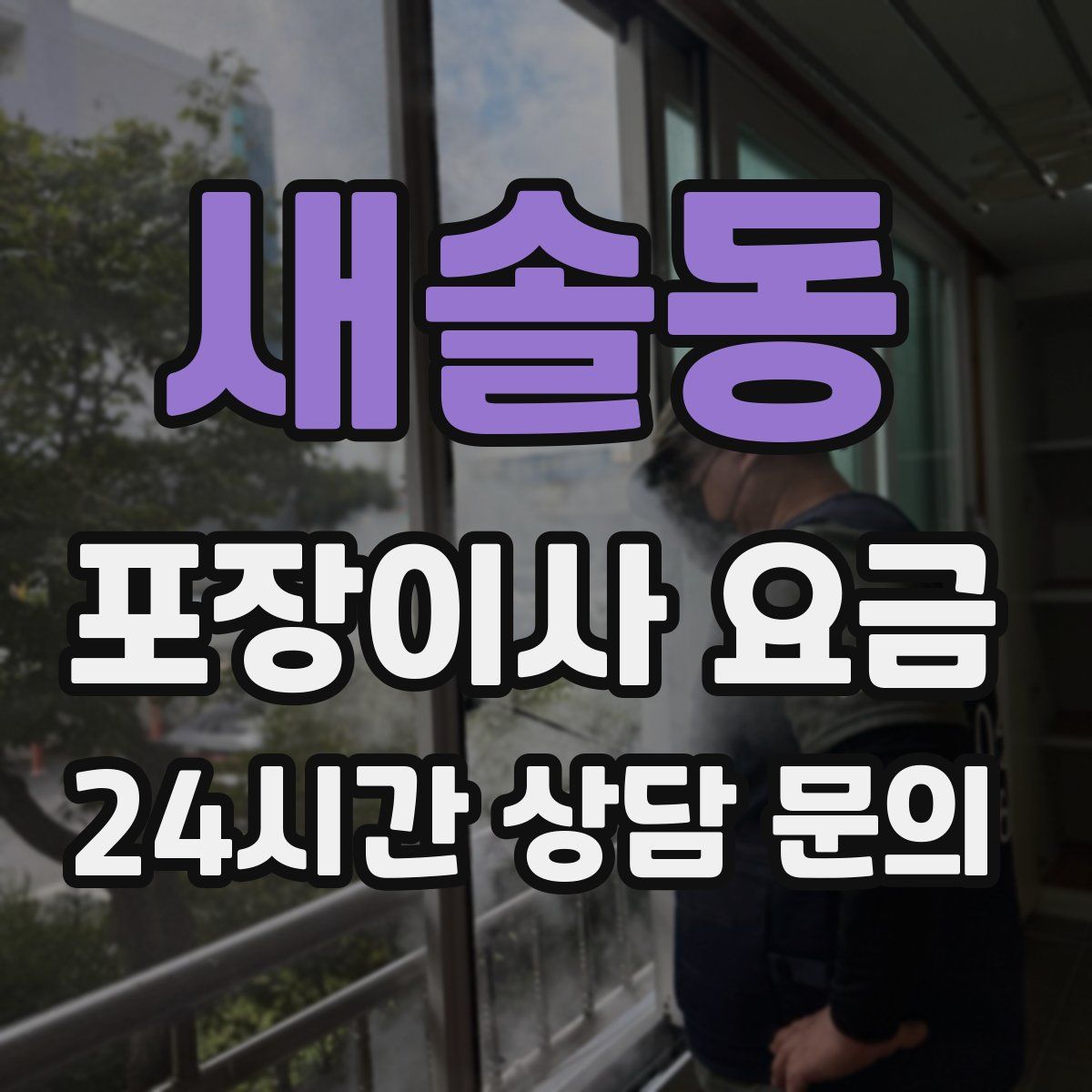 새솔동 포장이사 요금