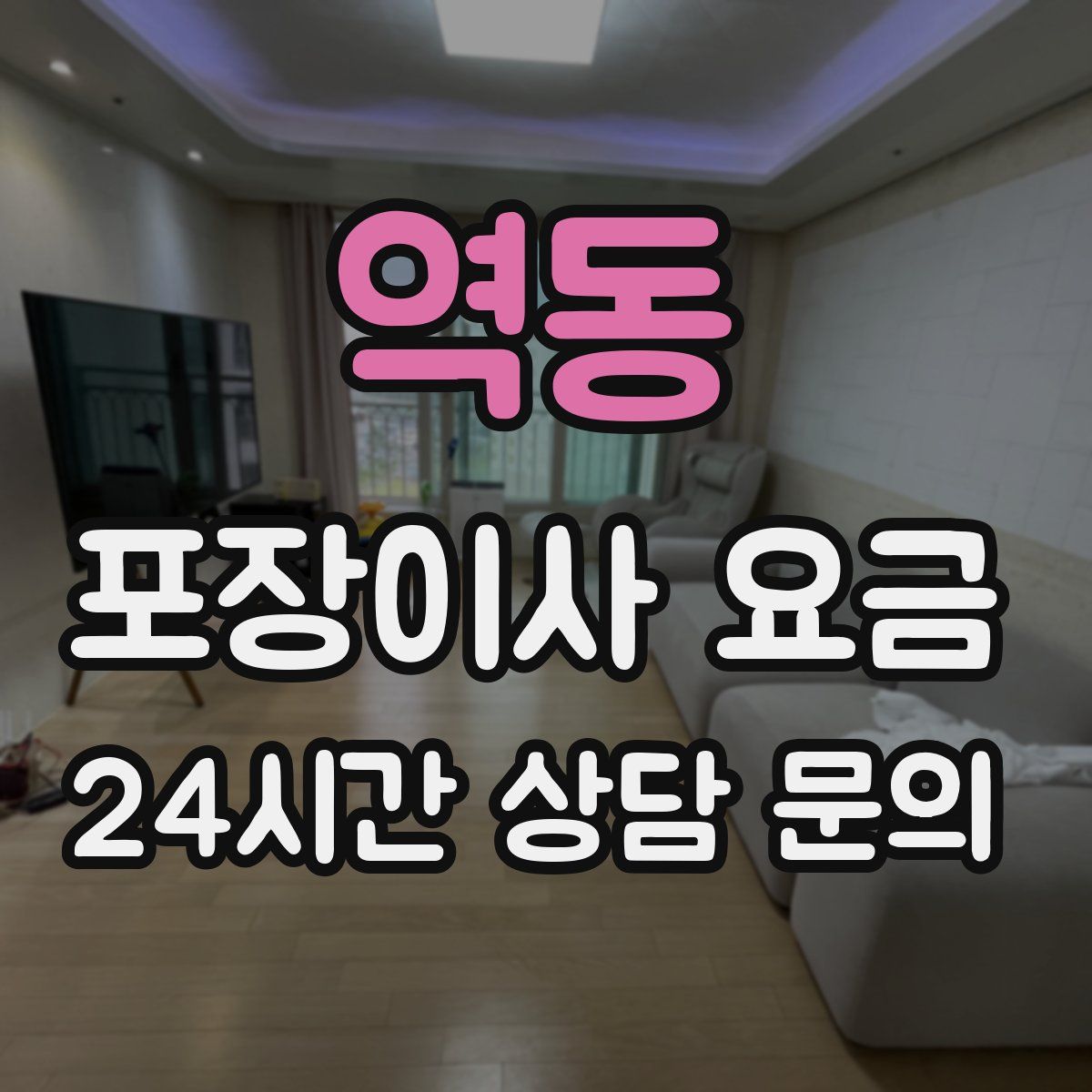 역동 포장이사 요금