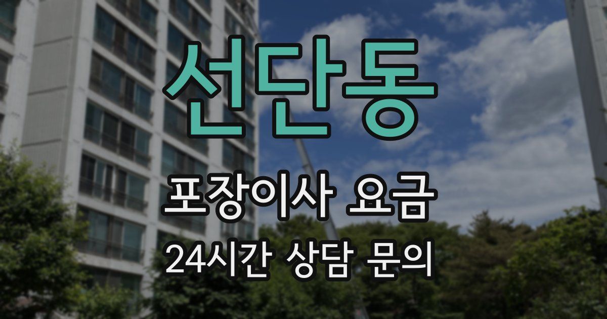 선단동 포장이사 요금