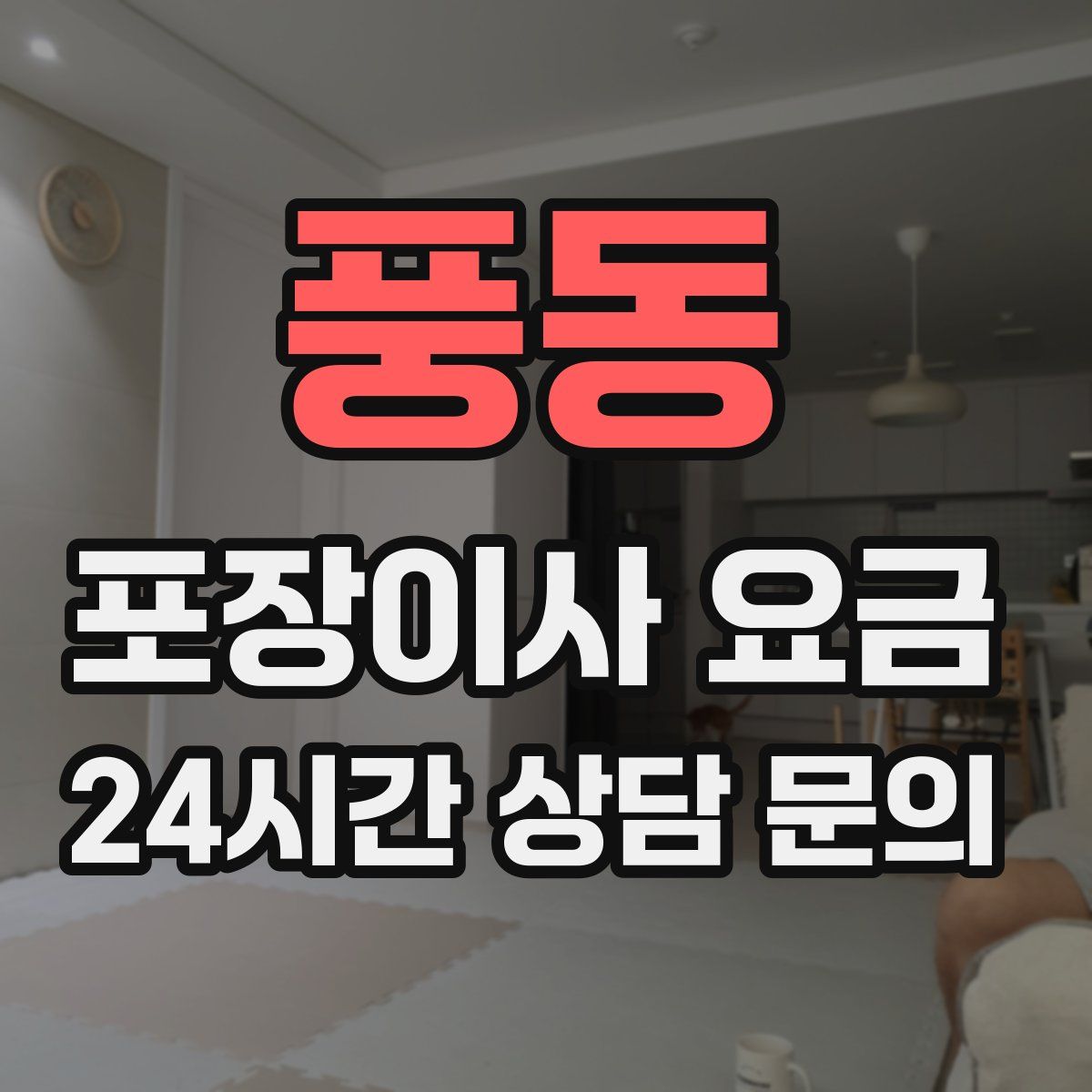 풍동 포장이사 요금