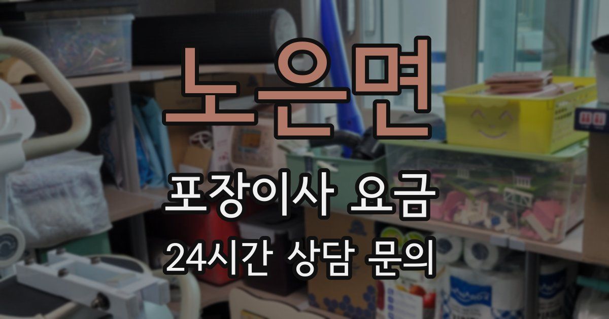 노은면 포장이사 요금