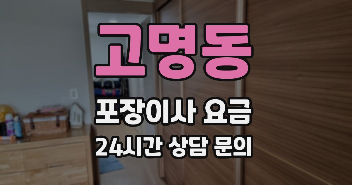 고명동 포장이사 요금