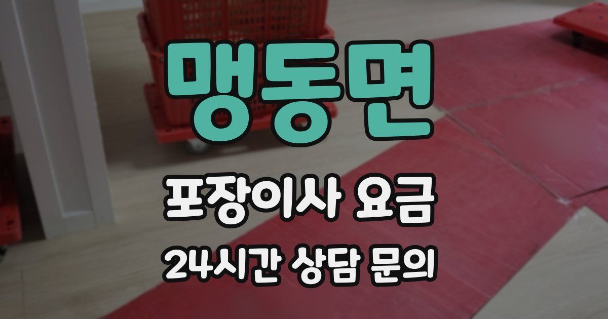 맹동면 포장이사 요금