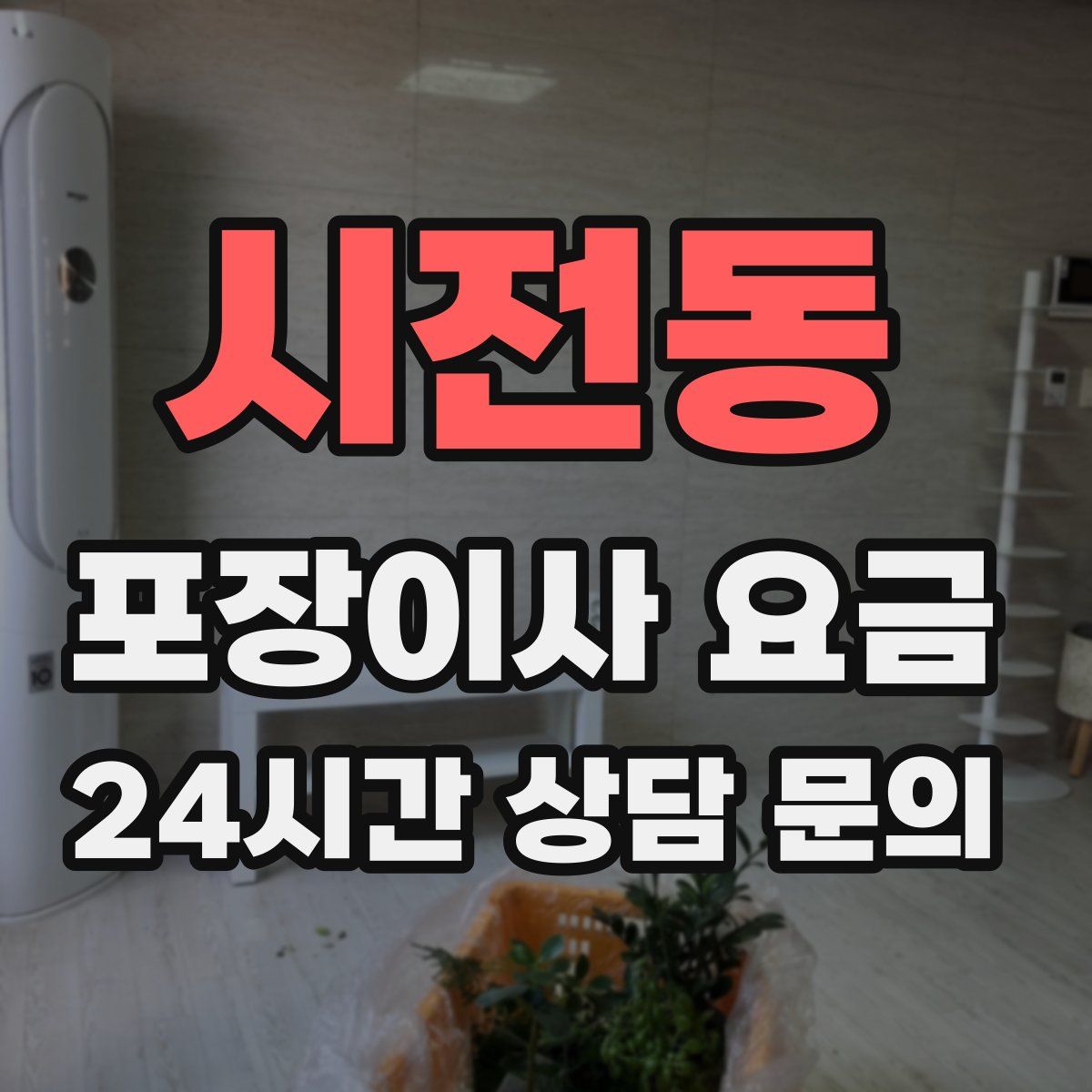 시전동 포장이사 요금