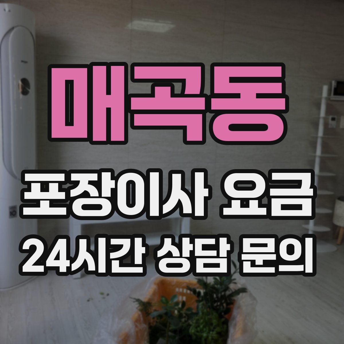 매곡동 포장이사 요금