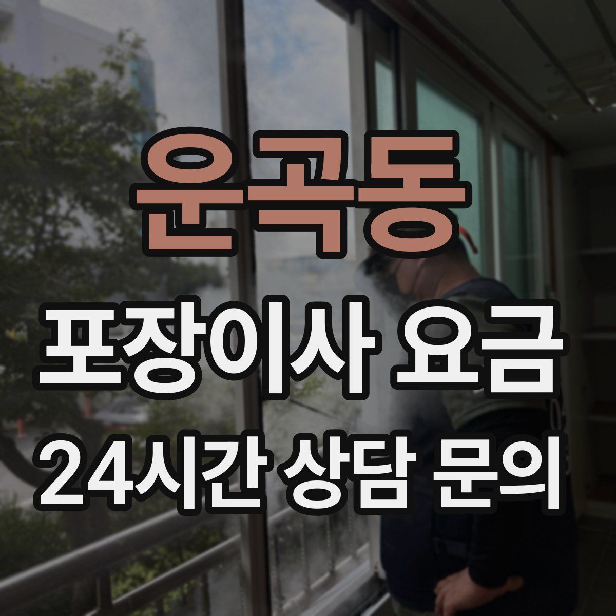 운곡동 포장이사 요금