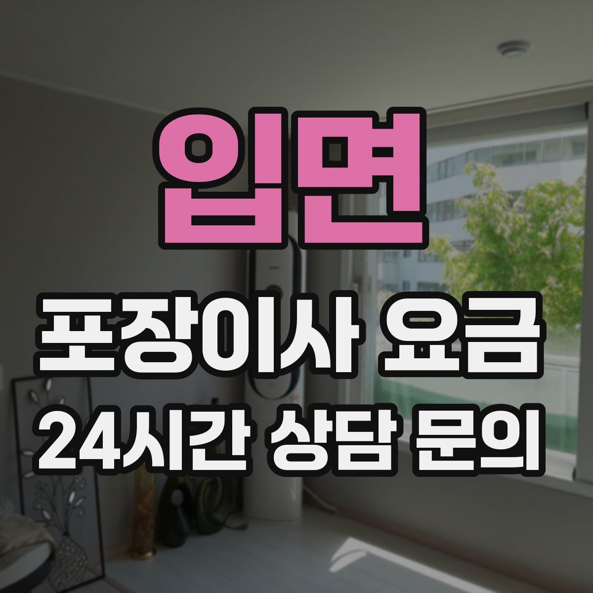 입면 포장이사 요금