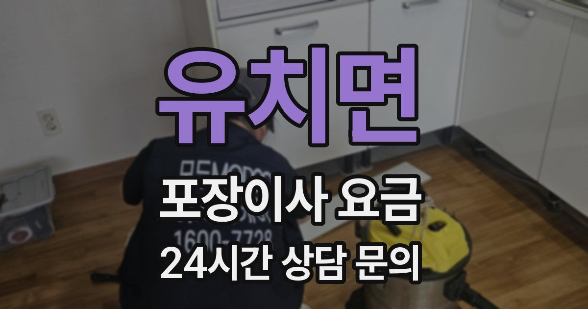 유치면 포장이사 요금
