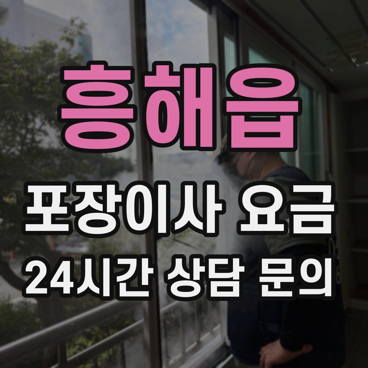 흥해읍 포장이사 요금