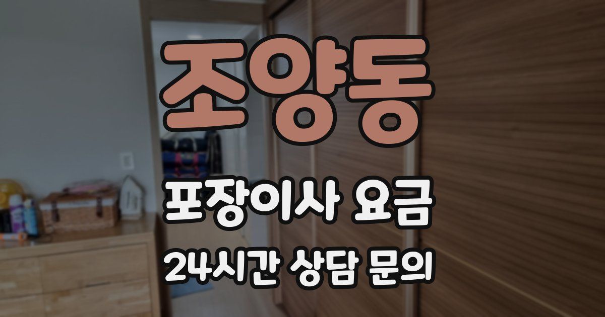 조양동 포장이사 요금