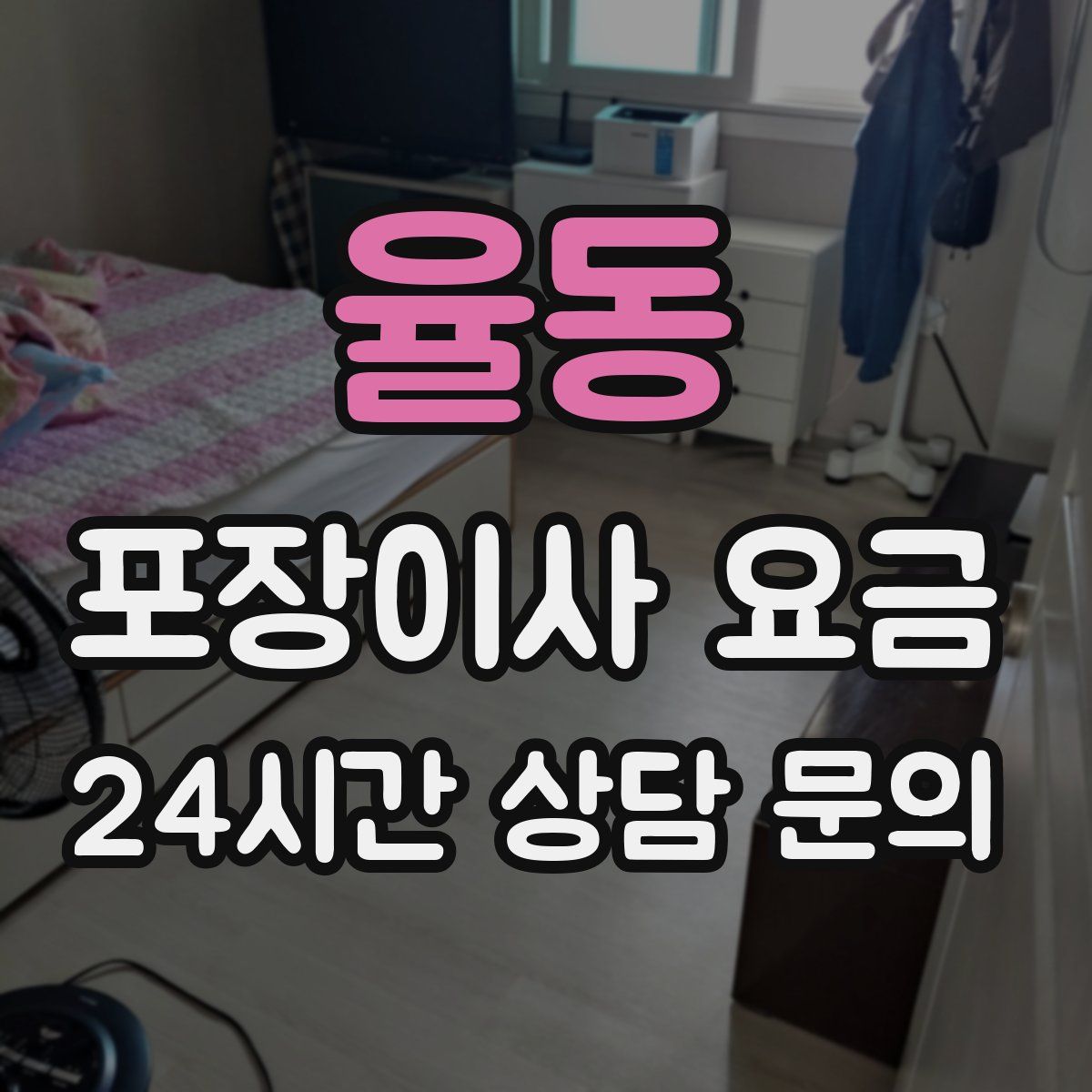 율동 포장이사 요금