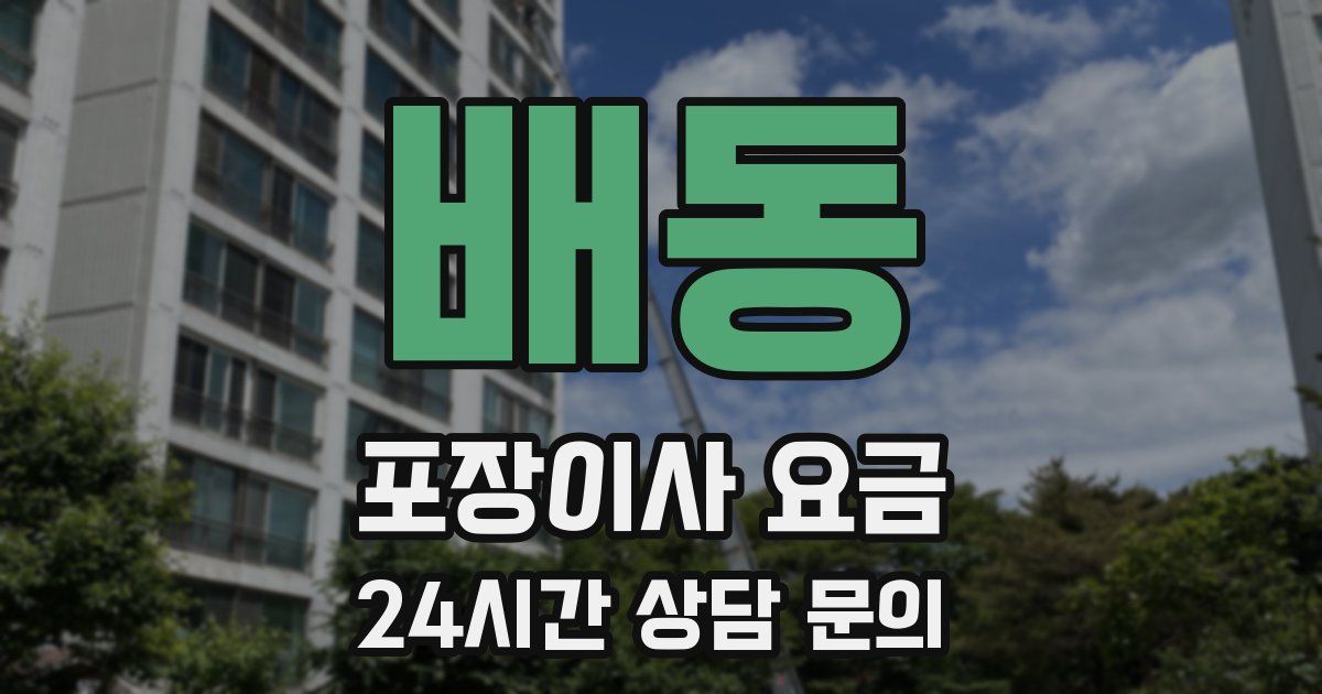 배동 포장이사 요금