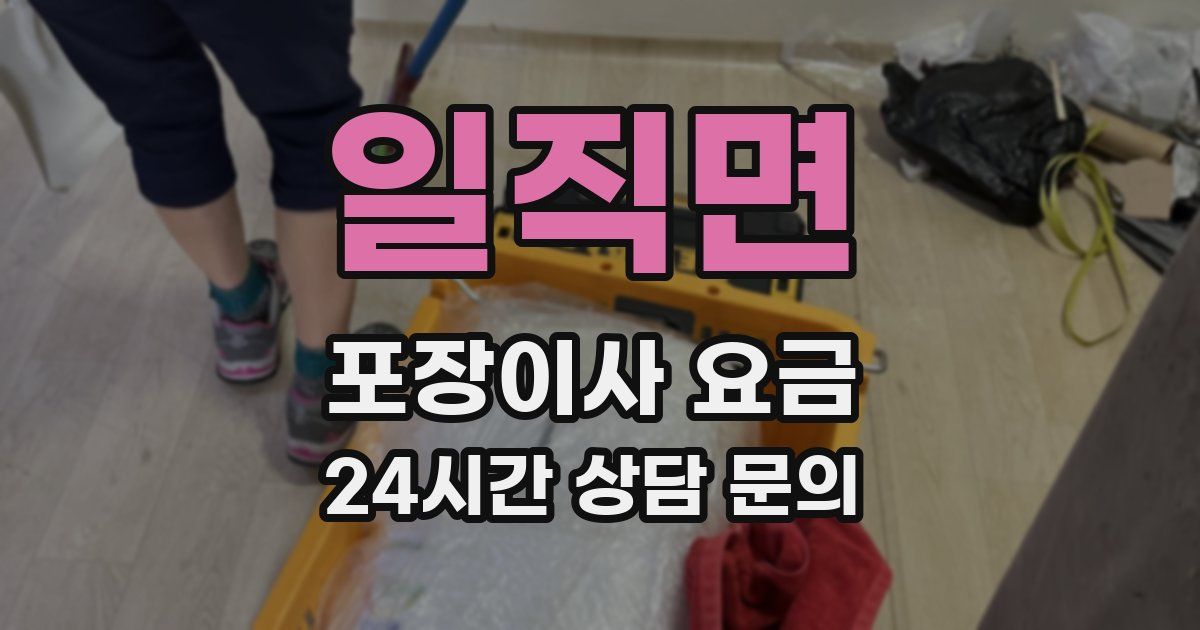 일직면 포장이사 요금