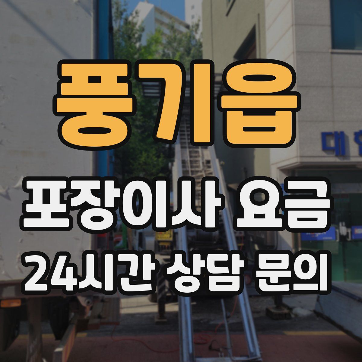 풍기읍 포장이사 요금