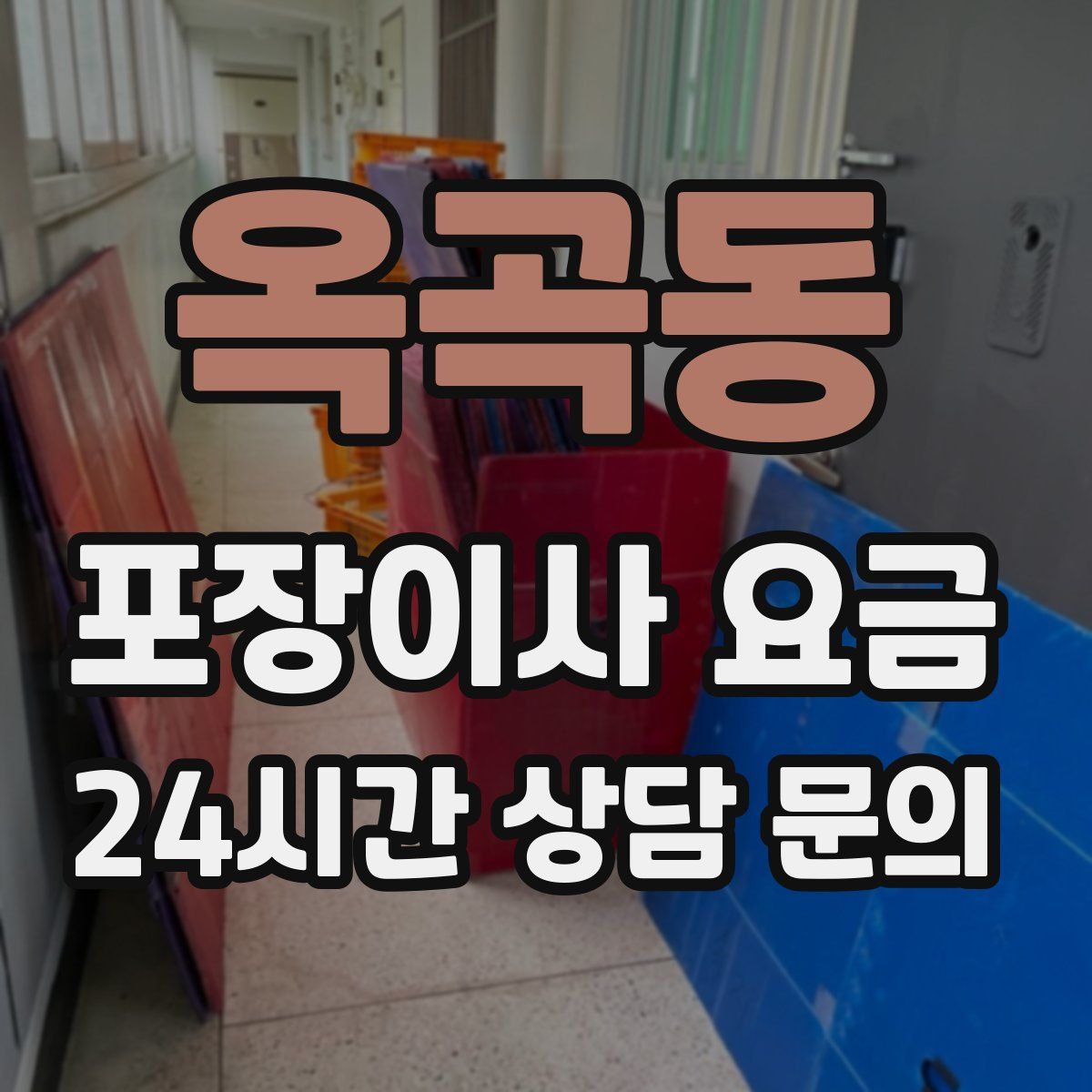 옥곡동 포장이사 요금