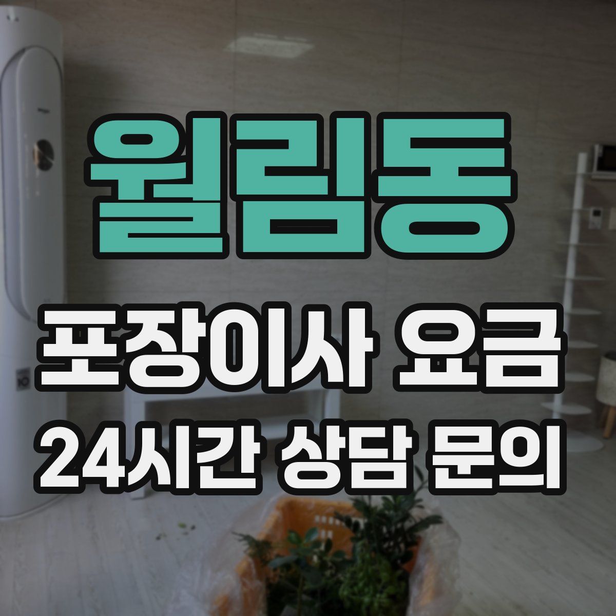 월림동 포장이사 요금