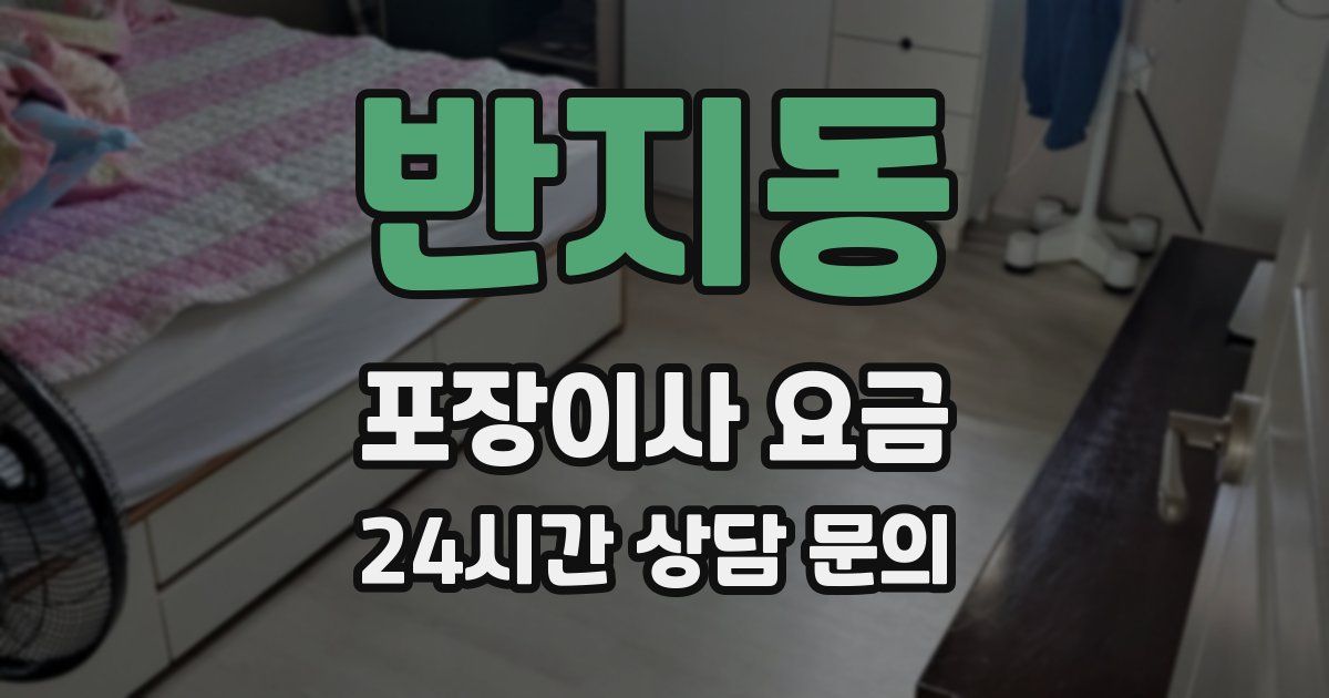 반지동 포장이사 요금