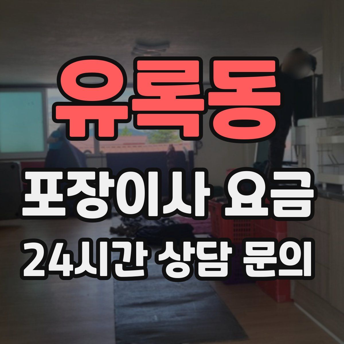 유록동 포장이사 요금