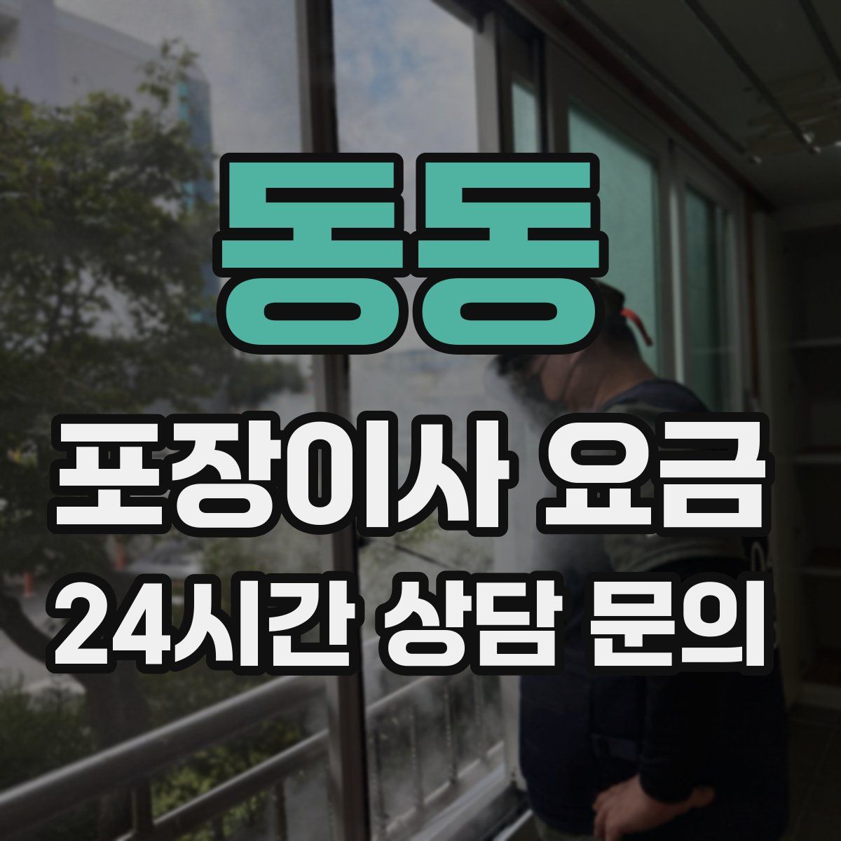 동동 포장이사 요금