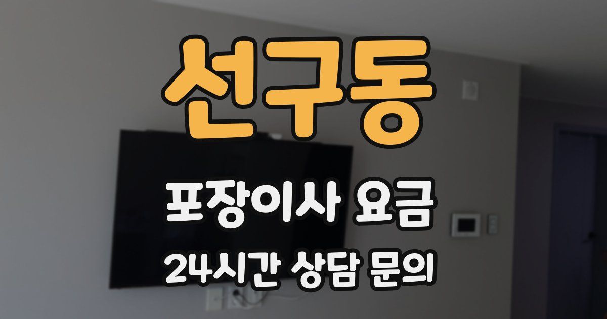 선구동 포장이사 요금