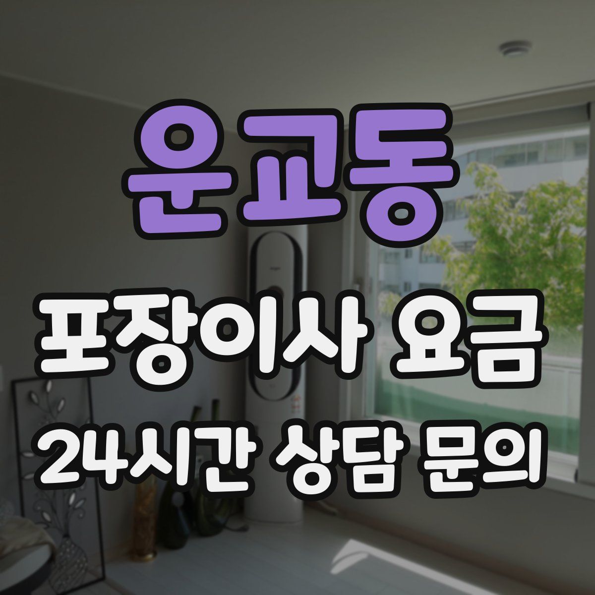 운교동 포장이사 요금