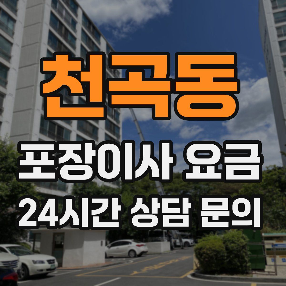 천곡동 포장이사 요금