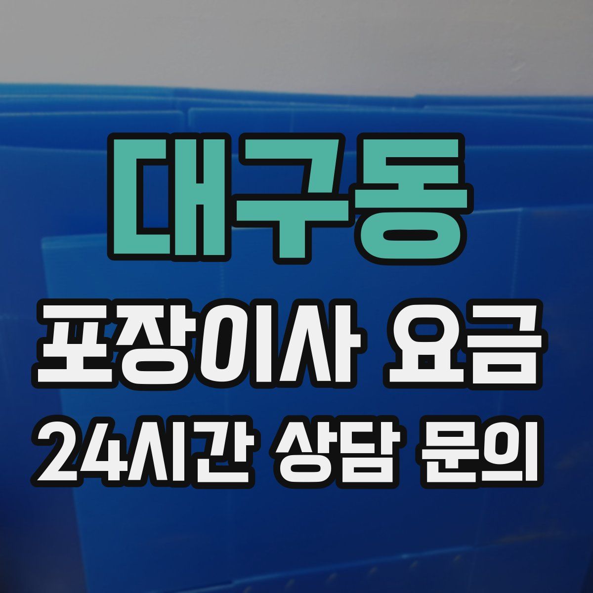 대구동 포장이사 요금