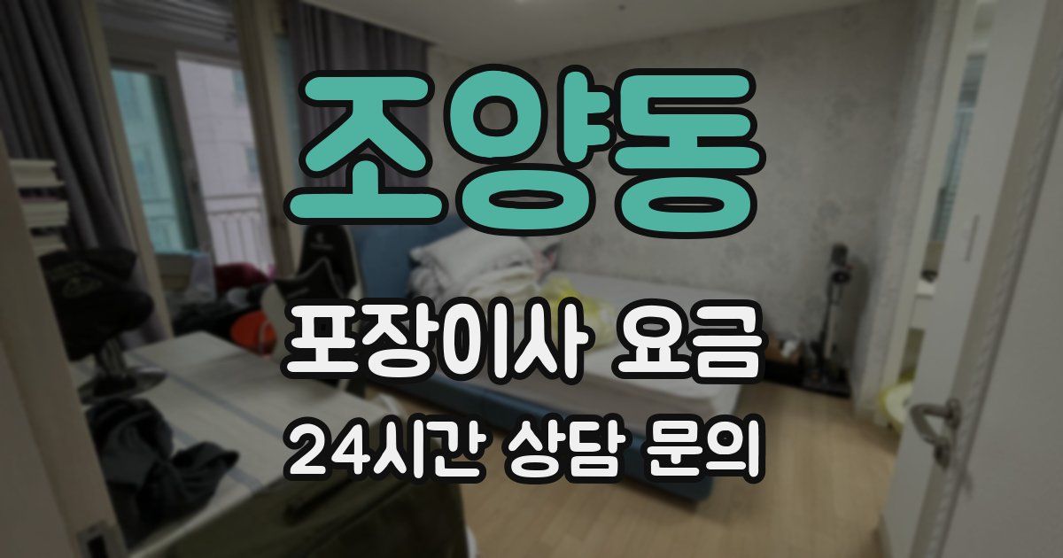 조양동 포장이사 요금