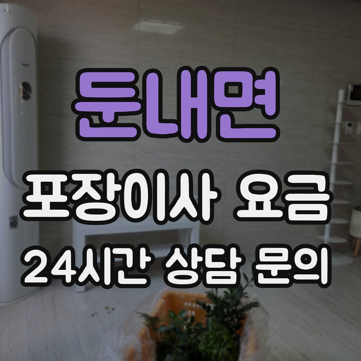 둔내면 포장이사 요금