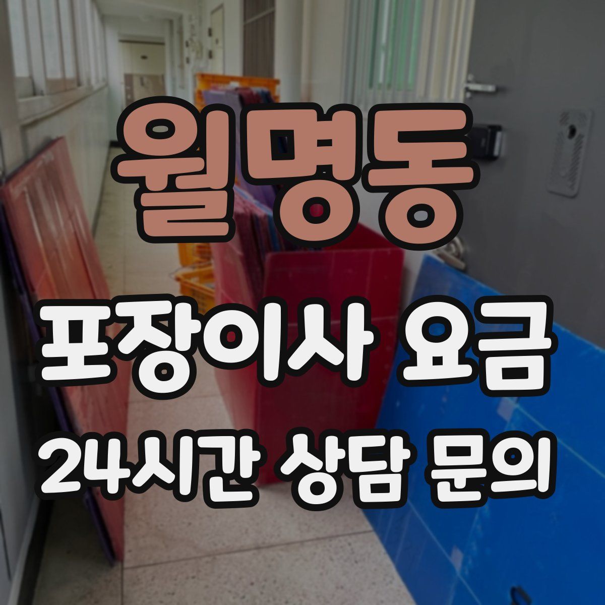 월명동 포장이사 요금