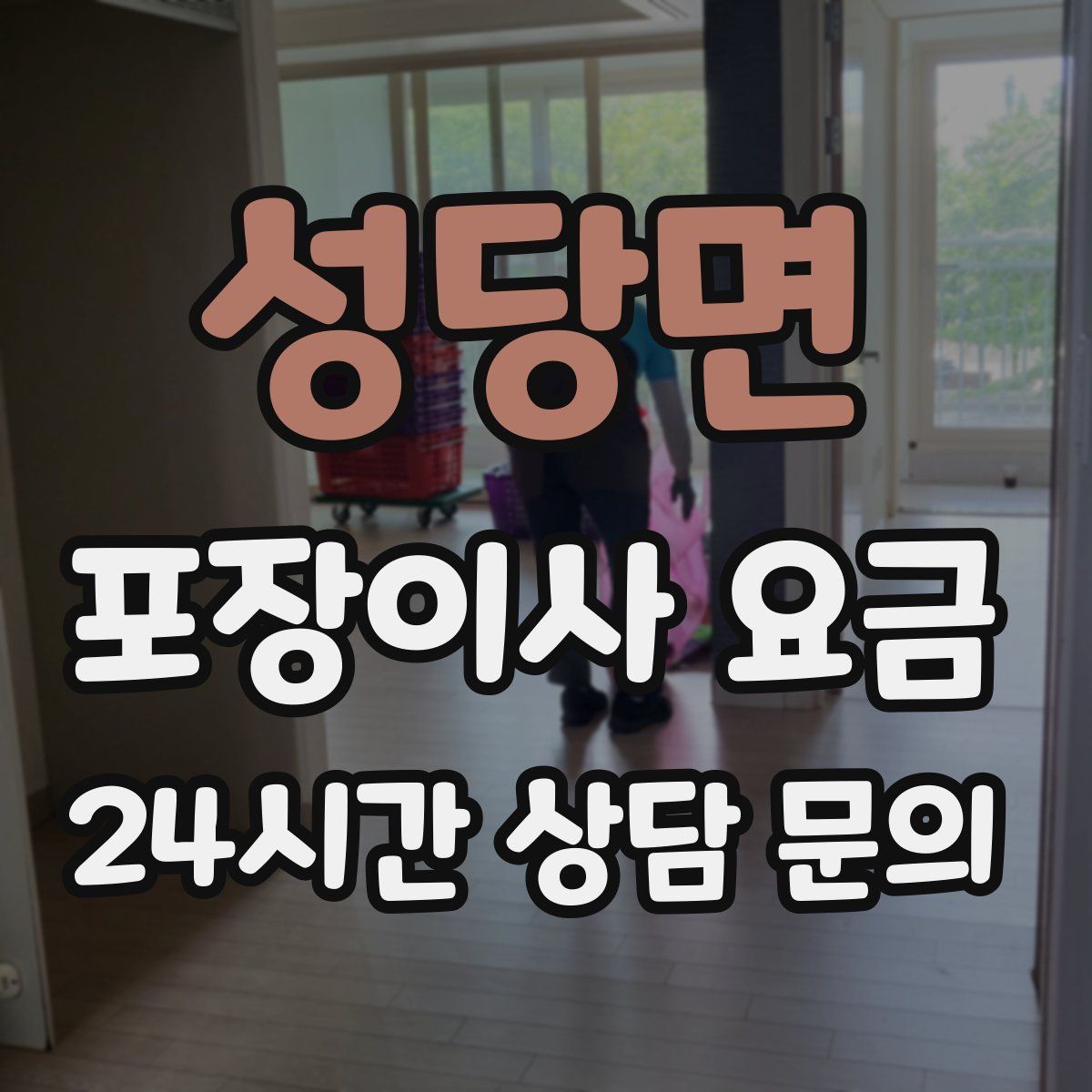 성당면 포장이사 요금