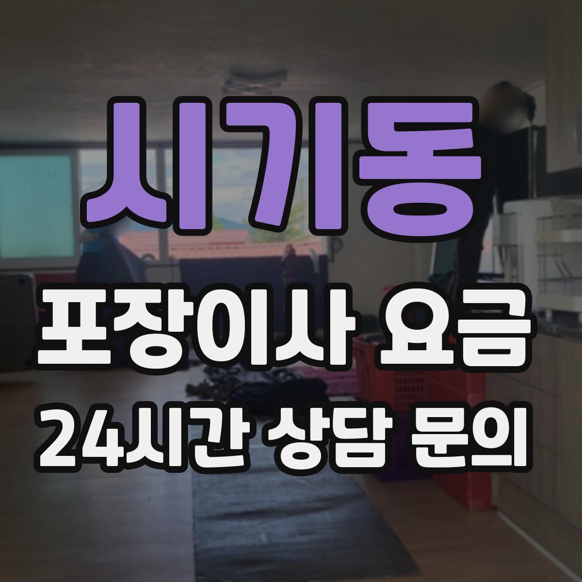 시기동 포장이사 요금