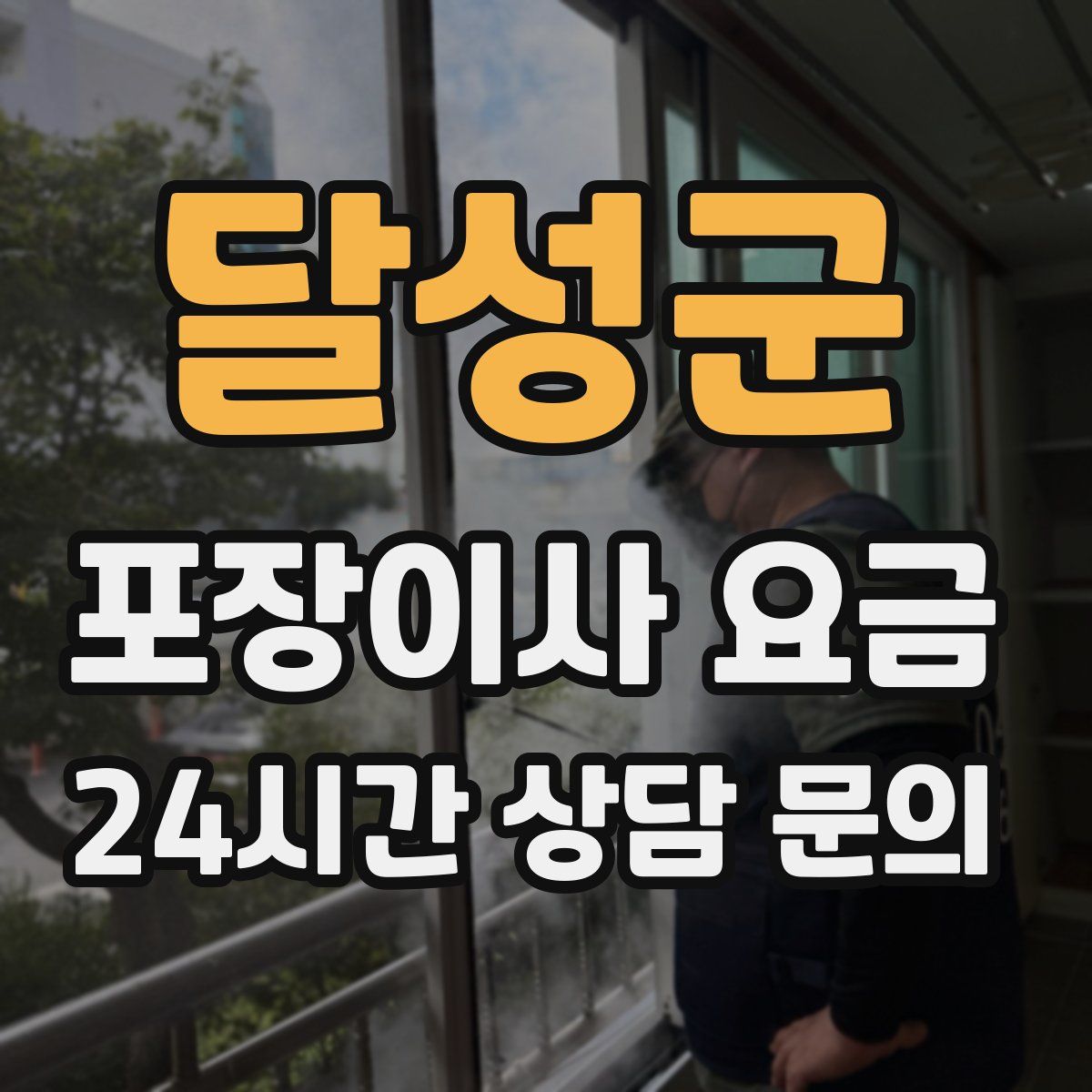 달성군 포장이사 요금